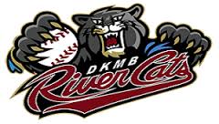 Logo for DKMB