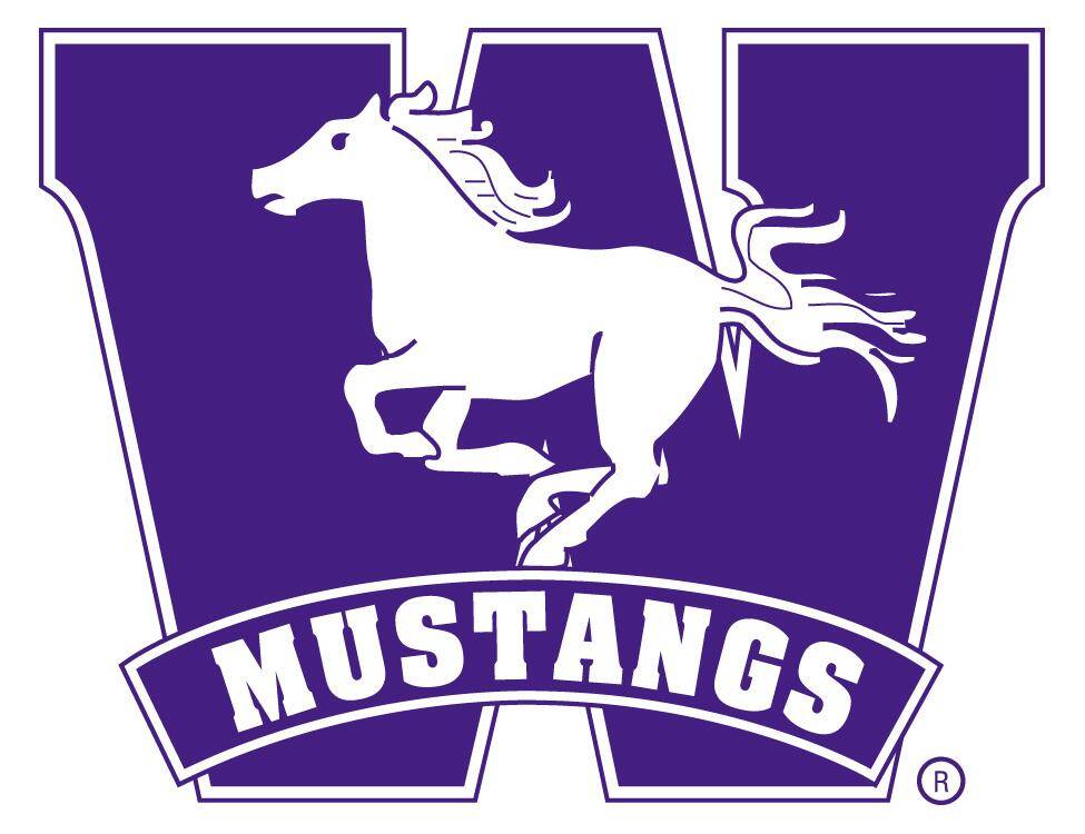 Western Mustangs Baseball